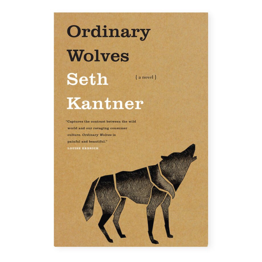 Irony La Croix Vibecession